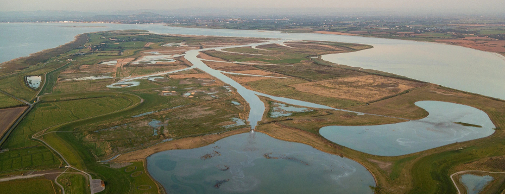 SteartMarshes1920wide.jpg